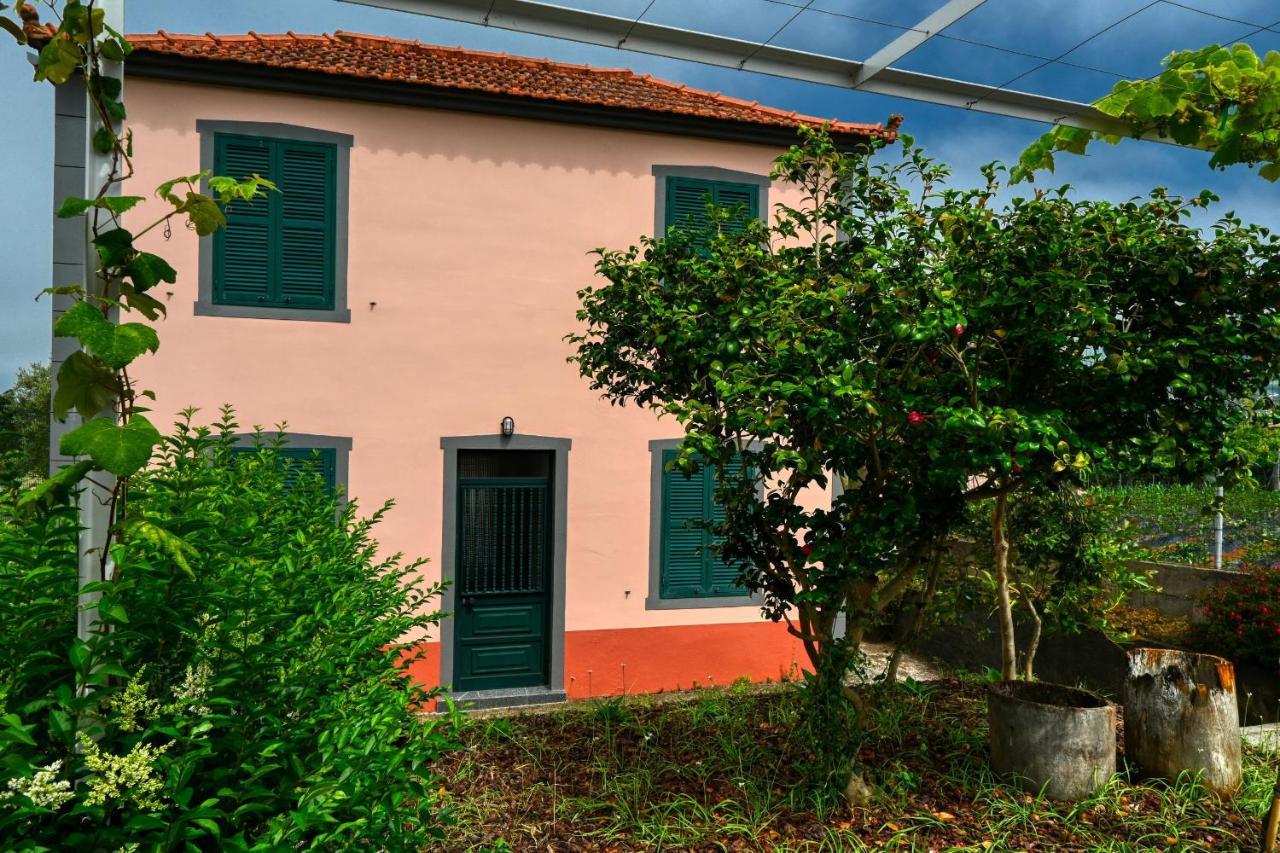 Os Ferreirinhos, A Home In Madeira São Jorge Exterior foto
